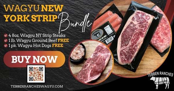 Wagyu New York Strip Bundle from Tebben Ranches